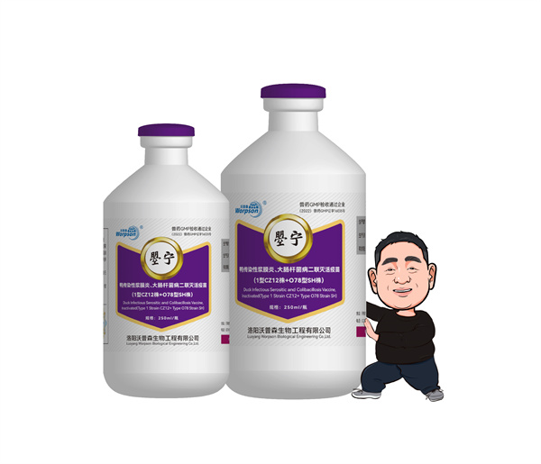 鸭传染性浆膜炎、大肠杆菌病二联灭活疫苗