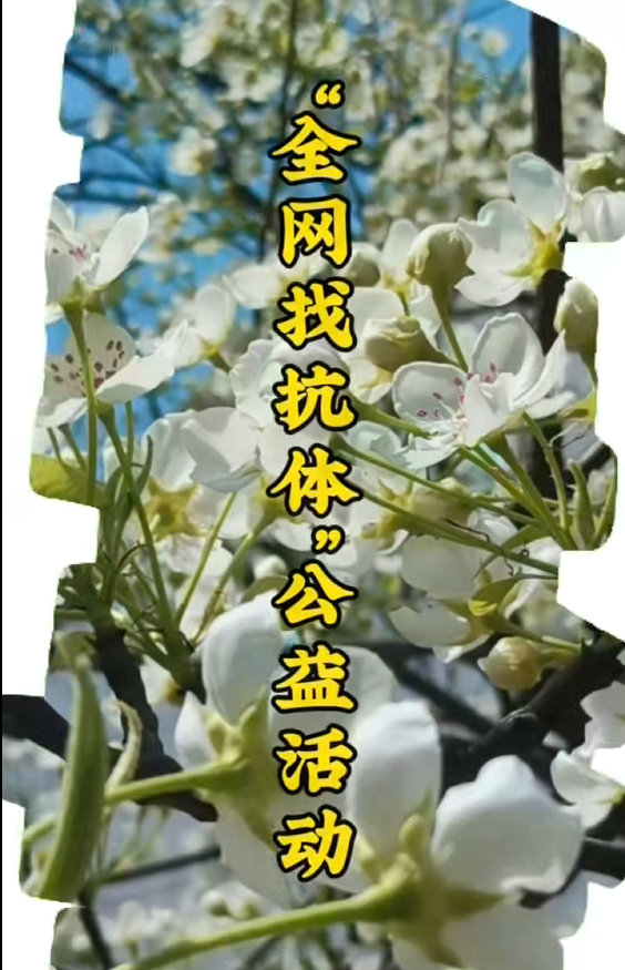 全网寻好抗，匠心护安康