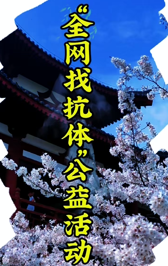 全网寻好抗，匠心护安康