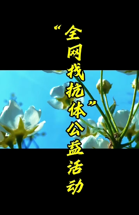 全网寻好抗，匠心护安康