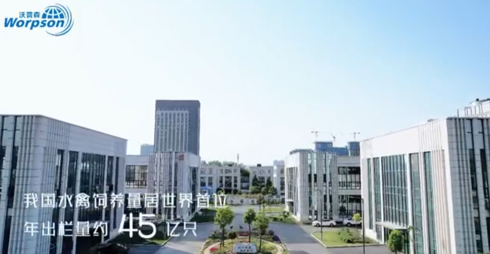 用品质呵护生命，用科技改写未来！