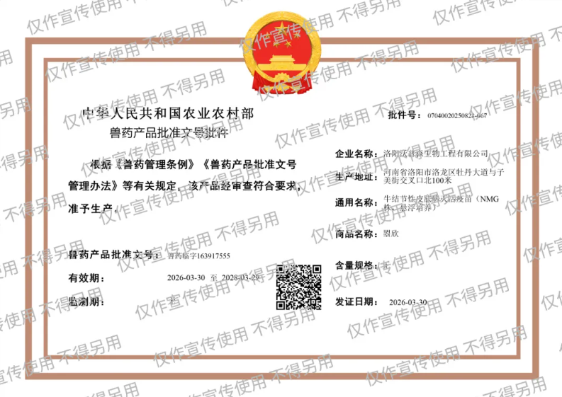 曌（zhao）欣，真牛！沃普森牛结节性皮肤病灭活疫苗(NMG株,悬浮培养)获兽药产品批准文号!