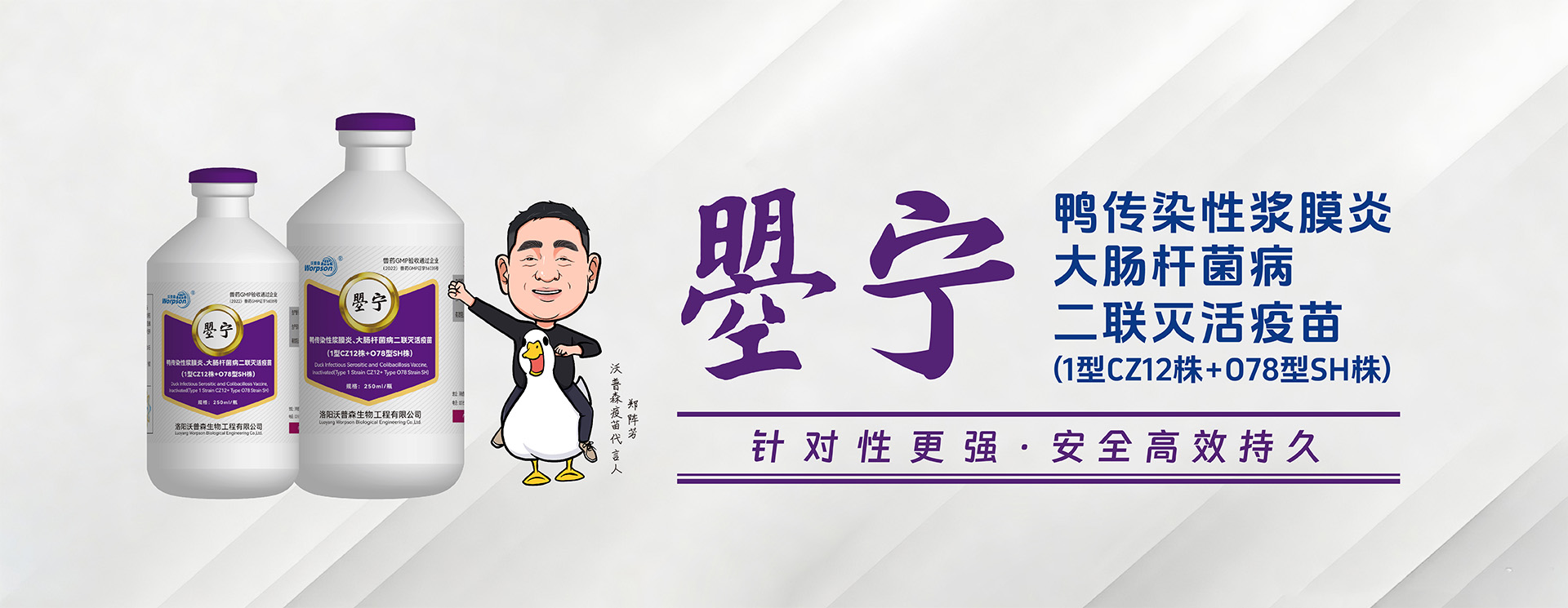 鸭传染-二联疫苗